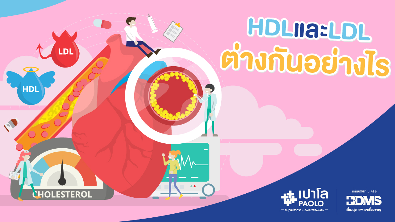 HDL และ LDL ต่างกันอย่างไร?