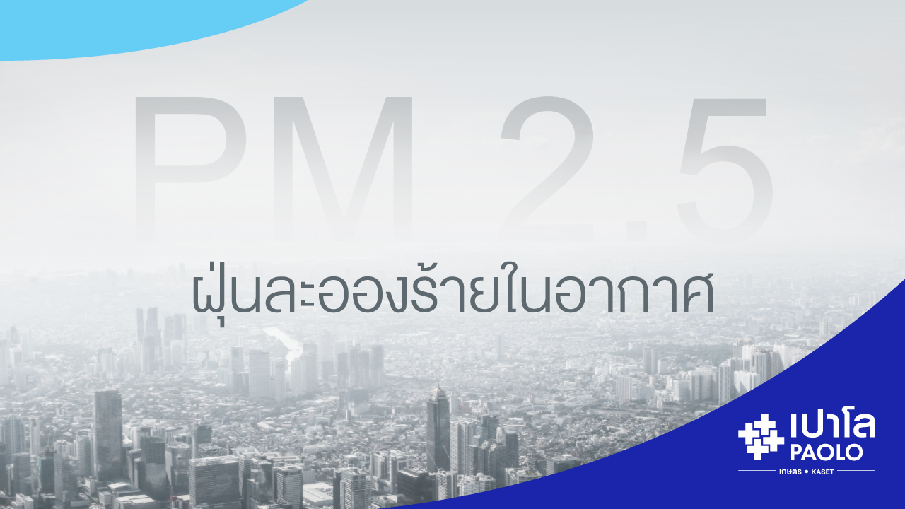 PM 2.5 ฝุ่นละอองร้ายในอากาศ