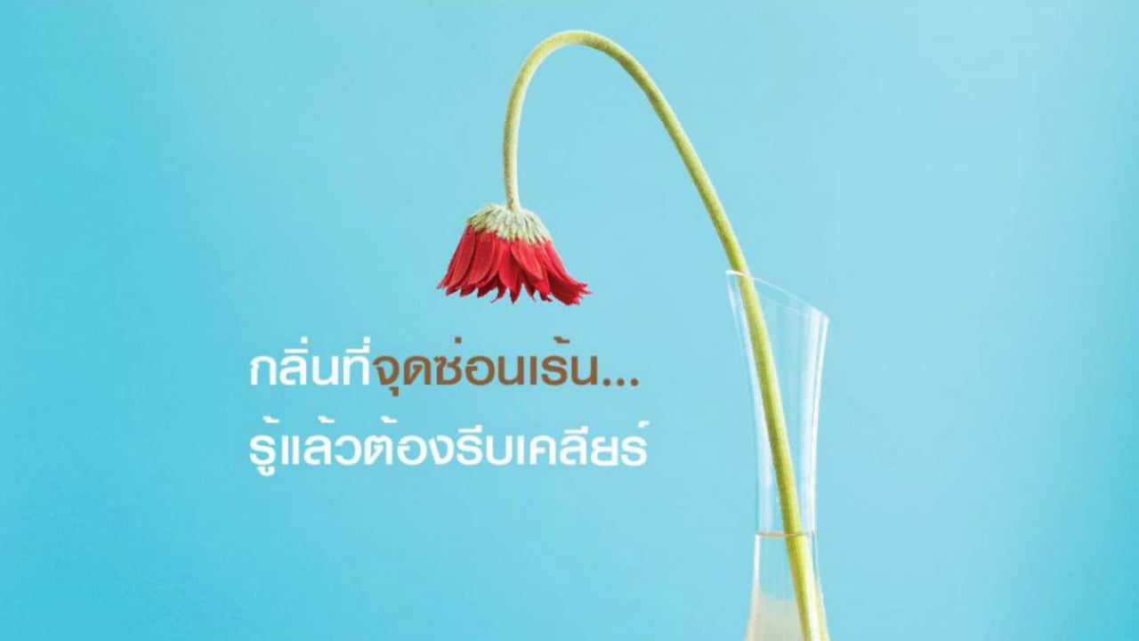 กลิ่นที่จุดซ่อนเร้น… รู้แล้วต้องรีบเคลียร์