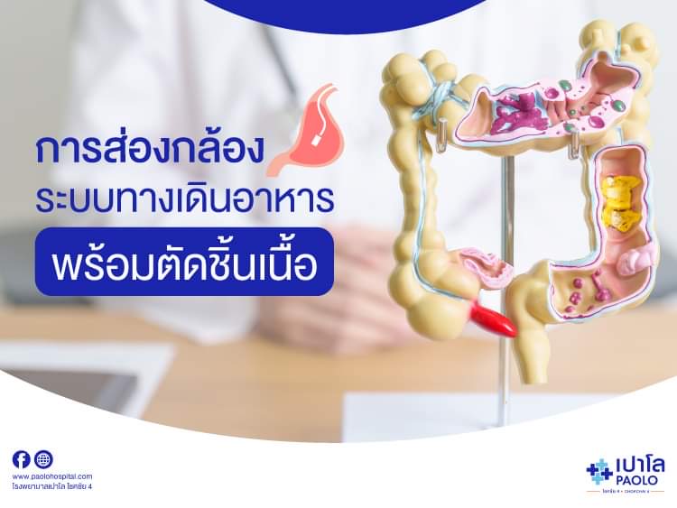 การส่องกล้องระบบทางเดินอาหาร พร้อมตัดชื้นเนื้อ