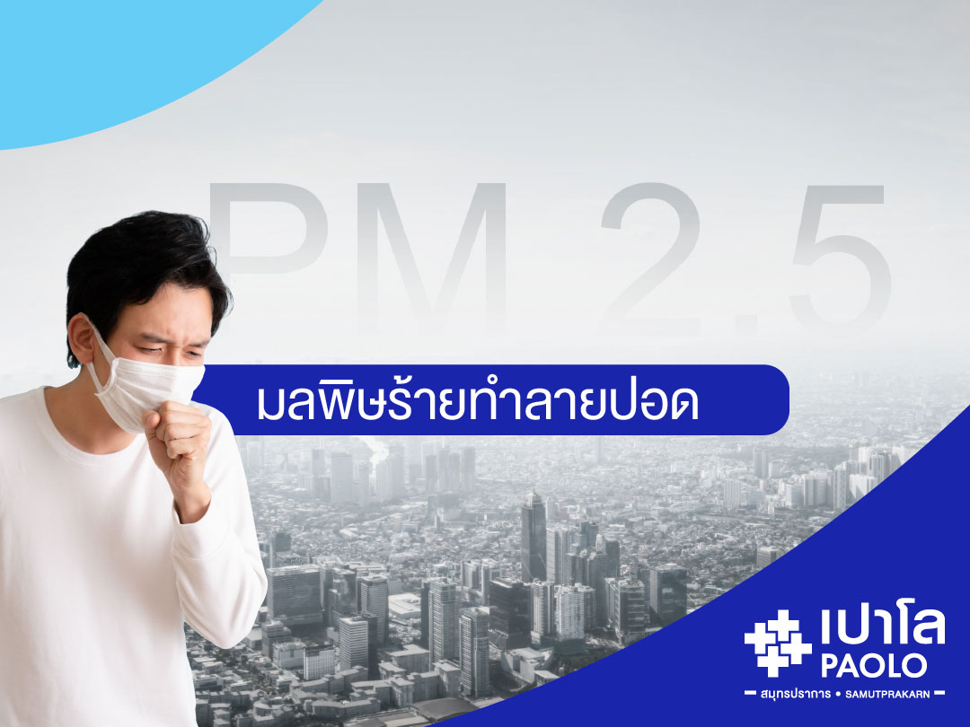 ฝุ่น PM2.5 มลพิษร้ายทำลายปอด