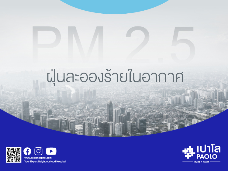 PM 2.5 ฝุ่นละอองร้ายในอากาศ