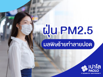 ฝุ่น PM2.5 มลพิษร้ายทำลายปอด
