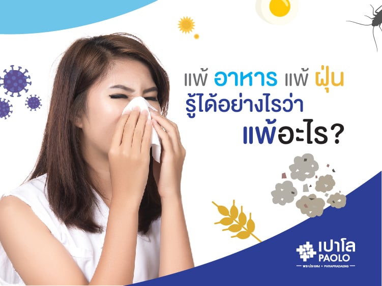 โรคภูมิแพ้ / สารก่อภูมิแพ้  (Allergy)  