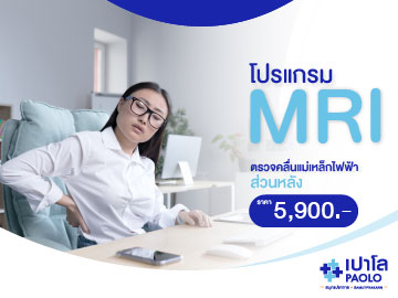 รวมแพ็คเกจและโปรโมชั่น